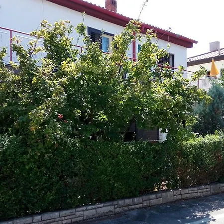 Πανσιόν Nina